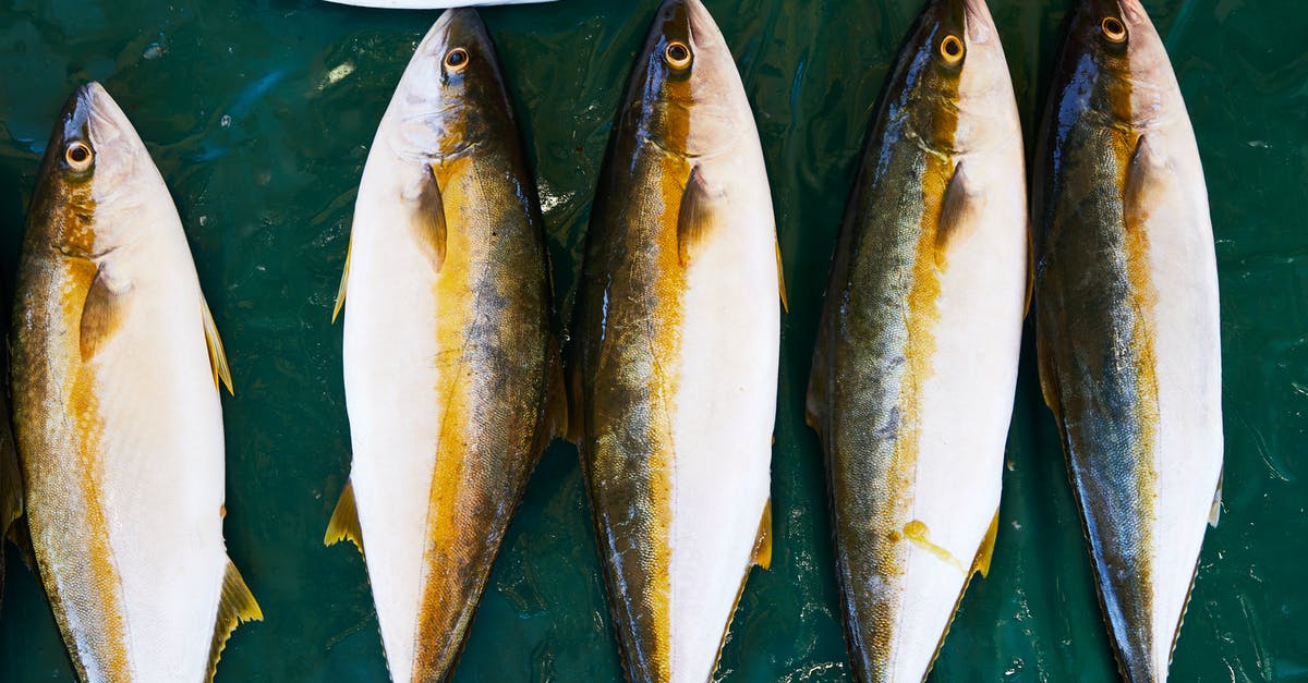 Where can I buy fresh water prawns? - From above of fresh raw fish placed on wet green surface in daytime Where can I buy fresh water prawns? - From above of fresh raw fish placed on wet green surface in daytime