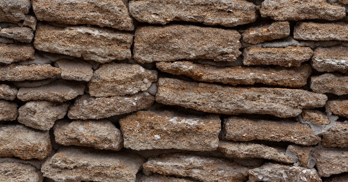 Where do all the tough old birds go? - Backdrop of dry stone wall with uneven surface Where do all the tough old birds go? - Backdrop of dry stone wall with uneven surface