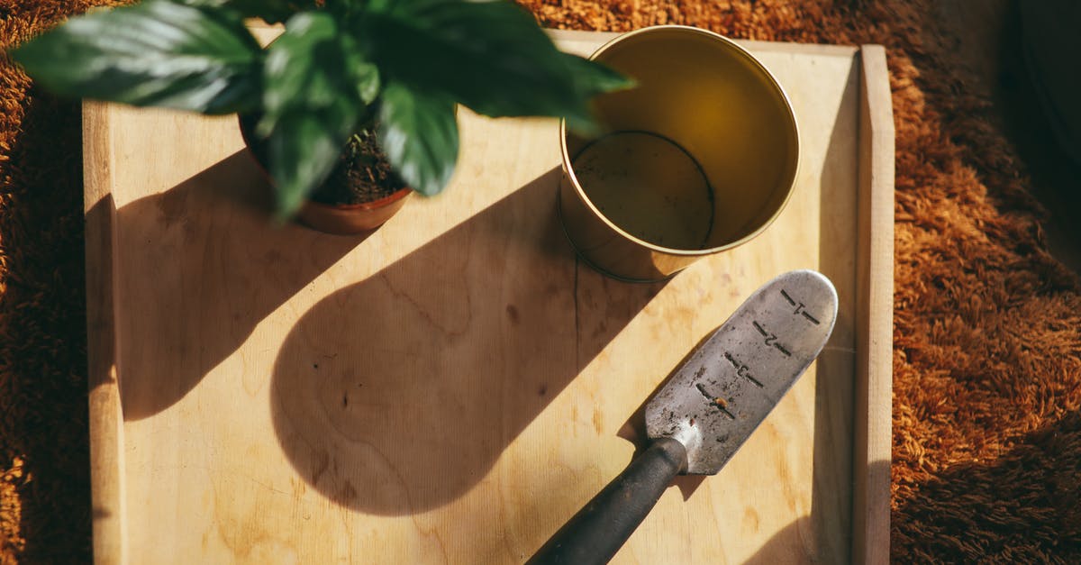 Which knife is best for somone just learning to cook? - Silver and Black Steel Measuring Cup Beside Green Plant Which knife is best for somone just learning to cook? - Silver and Black Steel Measuring Cup Beside Green Plant