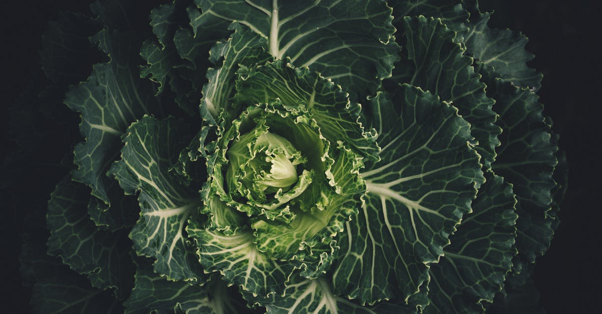 Which leaves of Savoy cabbage to use in smoothies? - Green Leafed Plant Which leaves of Savoy cabbage to use in smoothies? - Green Leafed Plant