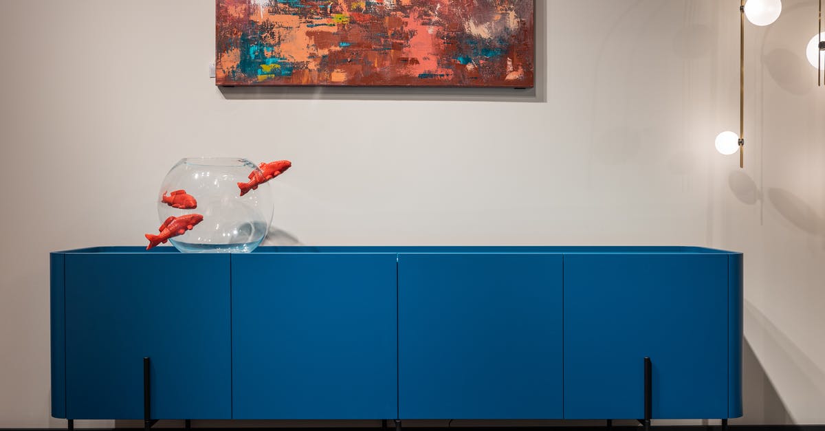 Which part of blue fish is not edible? - Cupboard with aquarium in studio Which part of blue fish is not edible? - Cupboard with aquarium in studio