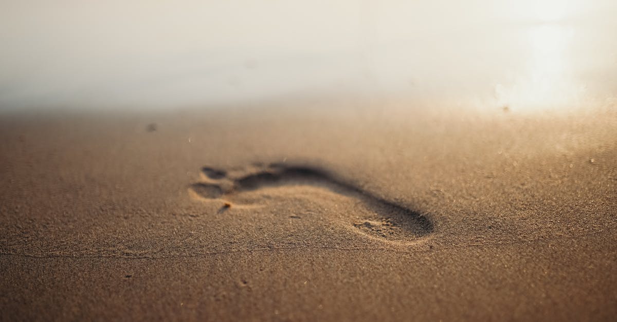 Which protein sources have the lower carbon footprint [closed] - Brown Sand With Heart Shaped