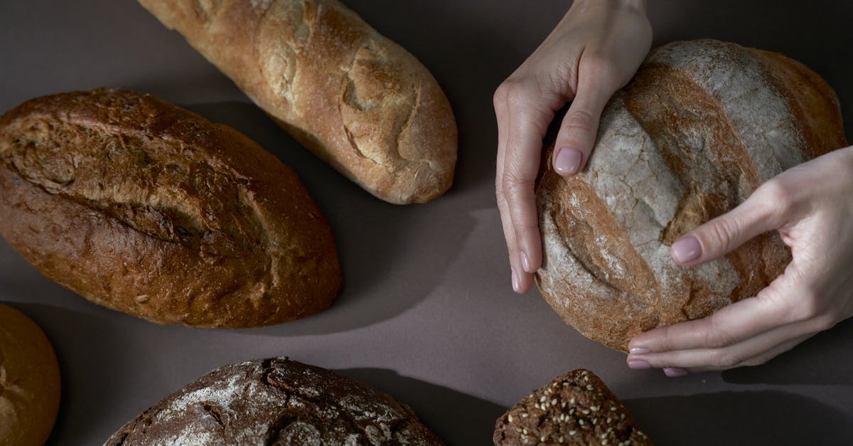 Which Whole Wheat Breads can be crisped on the stove? - Person Holding Brown Bread Which Whole Wheat Breads can be crisped on the stove? - Person Holding Brown Bread