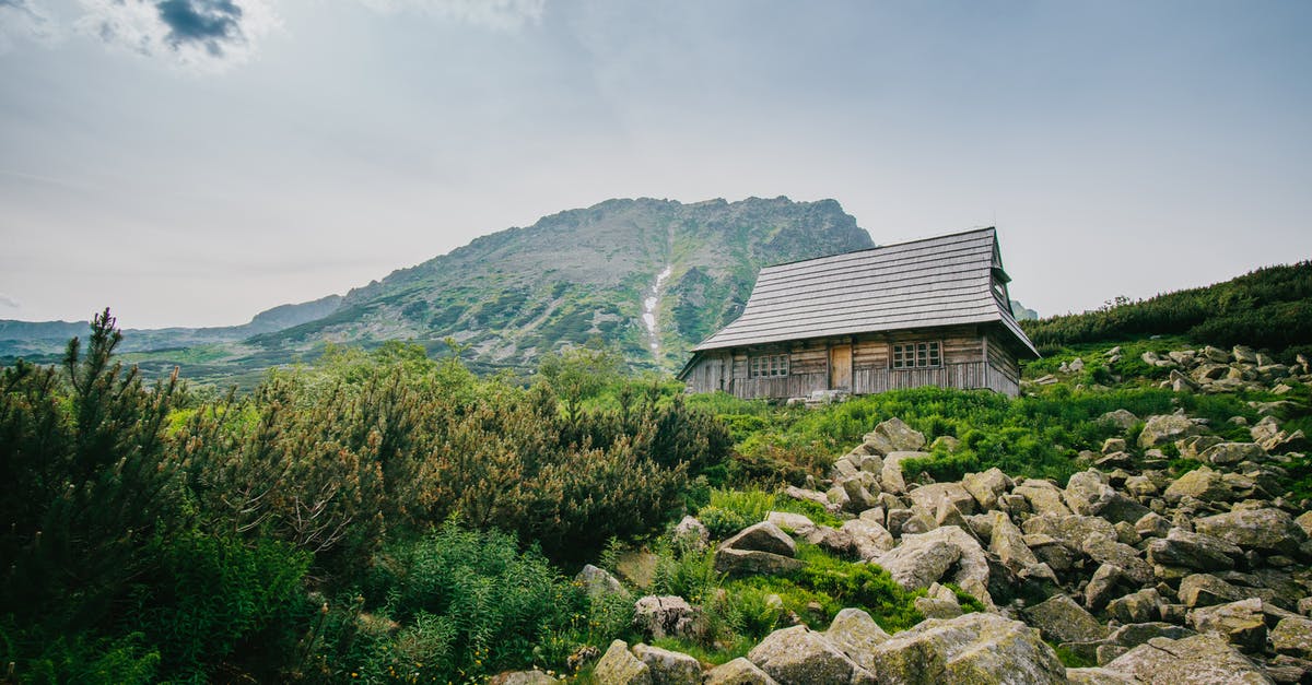 White threads on top of mushrooms? - Gray Wooden House White threads on top of mushrooms? - Gray Wooden House