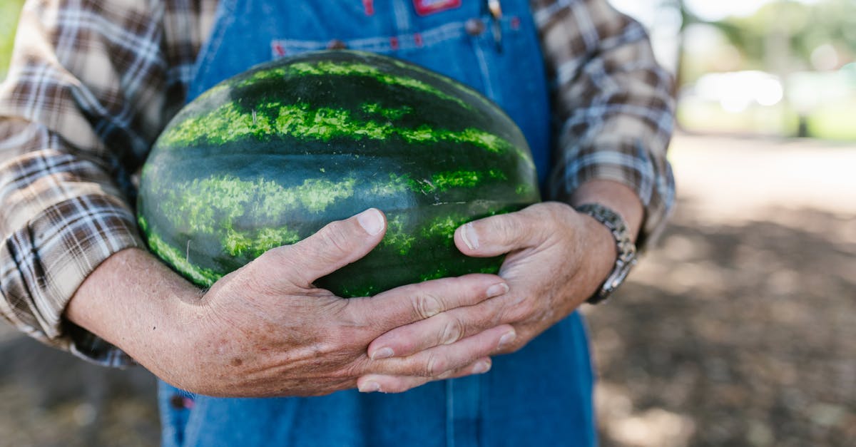 Who knows what this fruit is called? - A Person Holding a Watermelon Who knows what this fruit is called? - A Person Holding a Watermelon