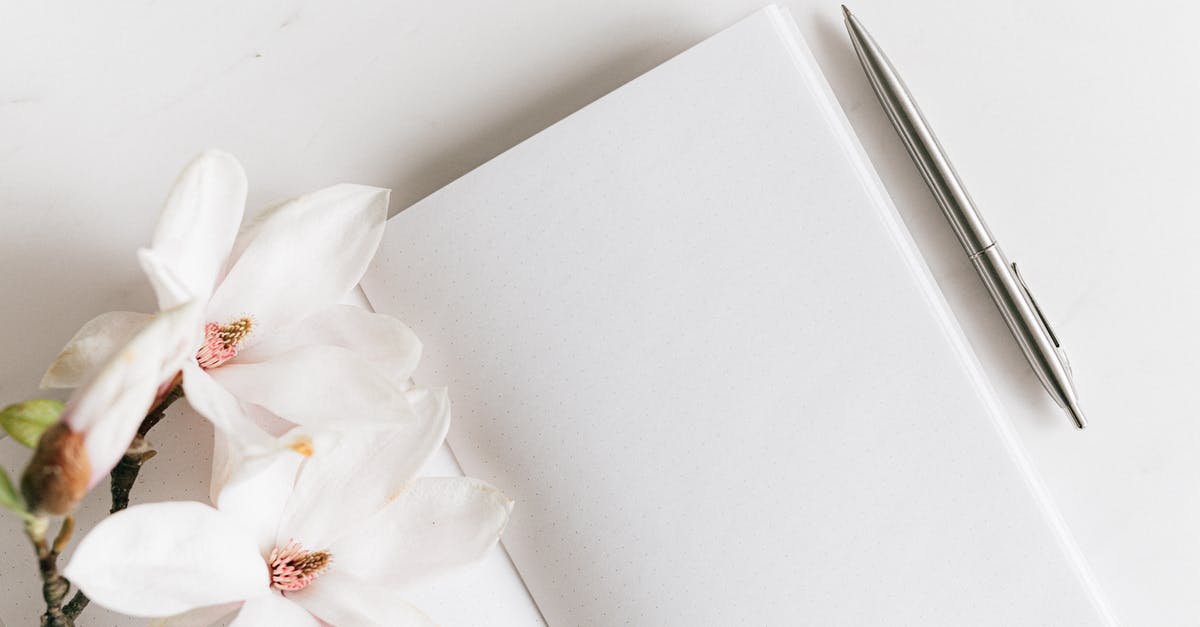 Why am i unable to season my pure iron wok? - Top view composition of opened notebook with blank white sheets and stylish silver pen decorated with lush blooming Magnolia twig placed on white background Why am i unable to season my pure iron wok? - Top view composition of opened notebook with blank white sheets and stylish silver pen decorated with lush blooming Magnolia twig placed on white background