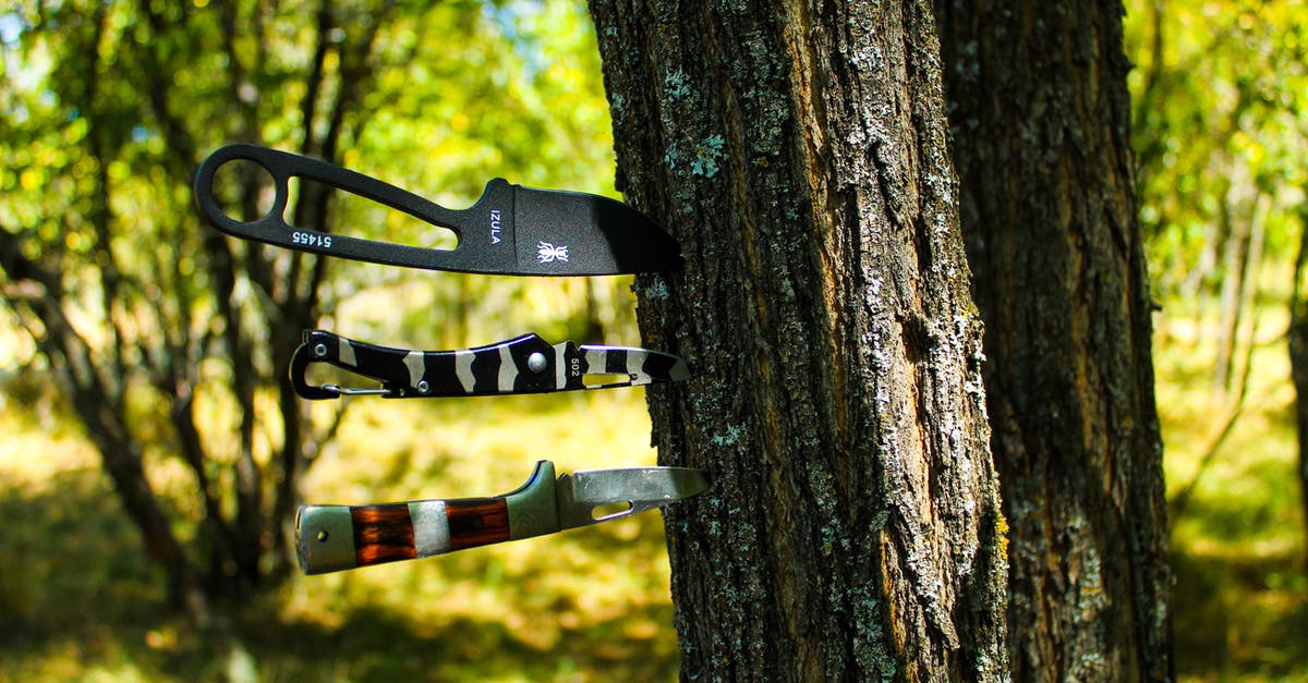 Why are chef's knives wide? - Knives on the Tree Trunk Why are chef's knives wide? - Knives on the Tree Trunk