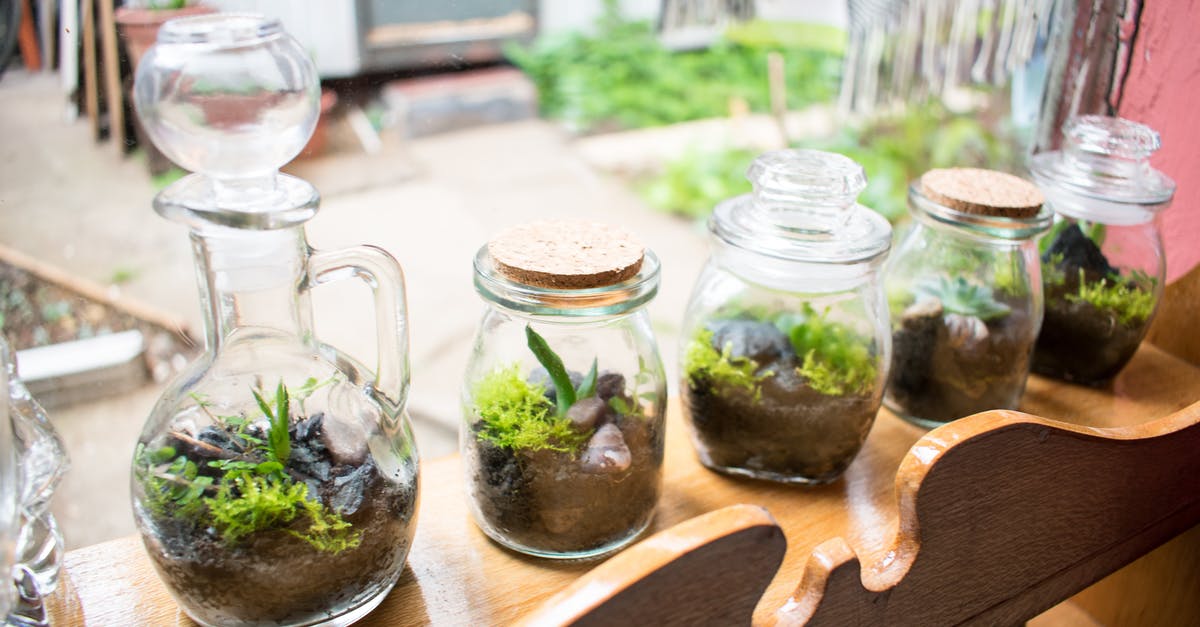 Why are home canning jars made of glass and not metal? - Collection of Plants In Bottles in Home Garden Why are home canning jars made of glass and not metal? - Collection of Plants In Bottles in Home Garden