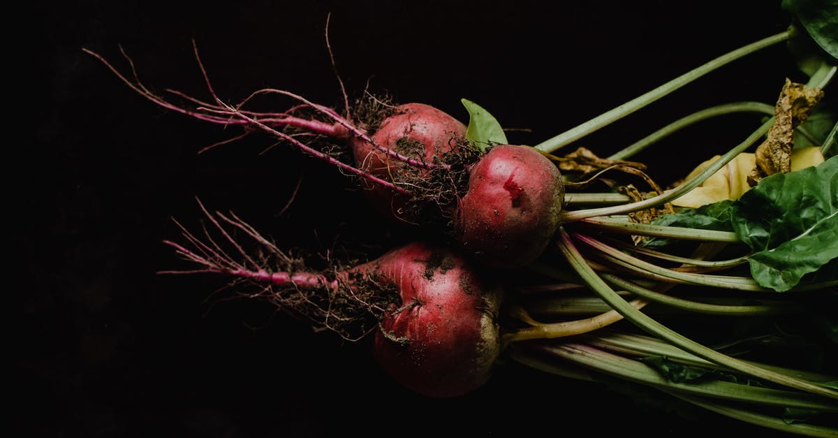 Why are my beets not fermenting? - Close-Up Photo of Beetroots on Black Background Why are my beets not fermenting? - Close-Up Photo of Beetroots on Black Background