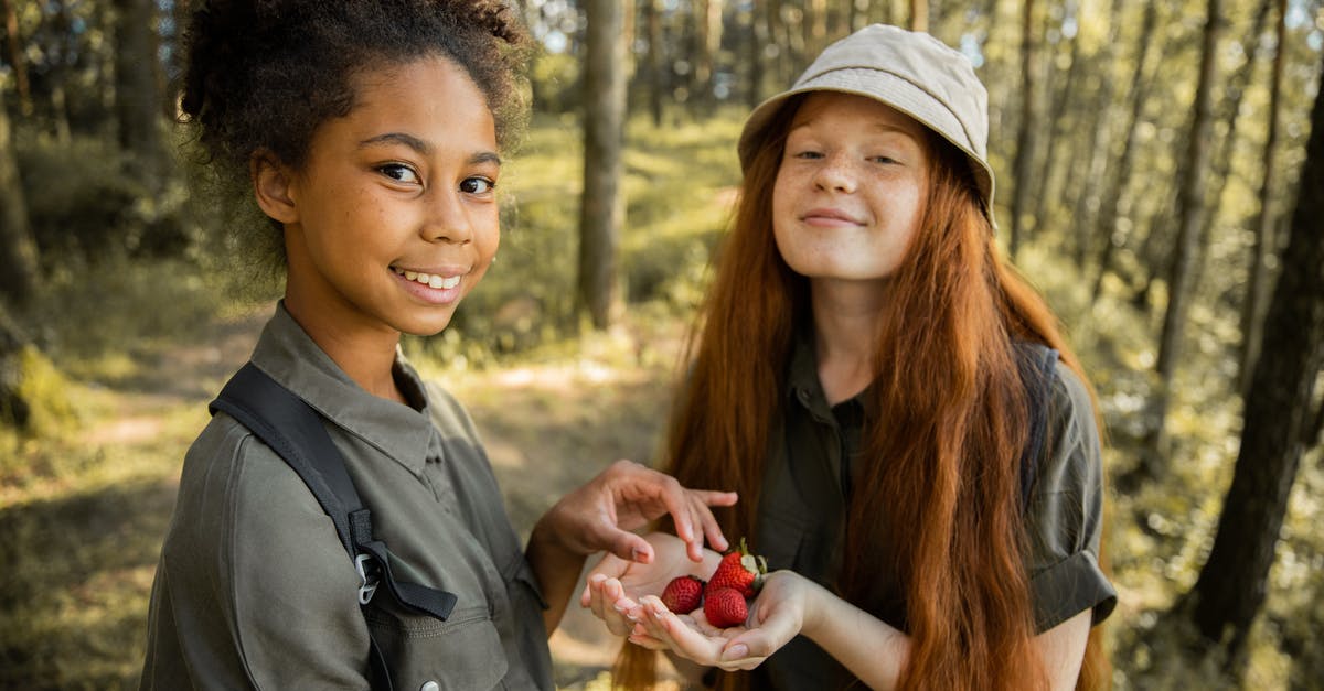 Why are my strawberries keeping so long? - Scout Girls with Strawberries in Forest Why are my strawberries keeping so long? - Scout Girls with Strawberries in Forest