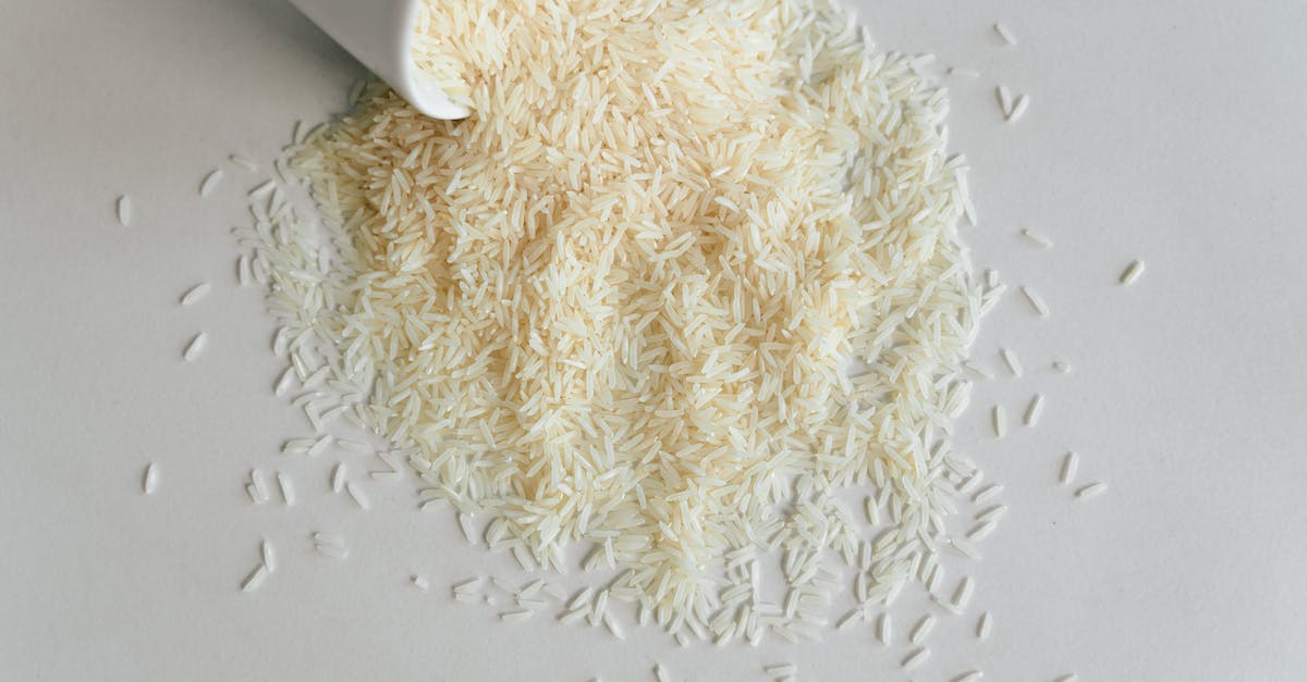 Why are there holes in pasta dough when it is cold - White and Brown Fur Textile Why are there holes in pasta dough when it is cold - White and Brown Fur Textile