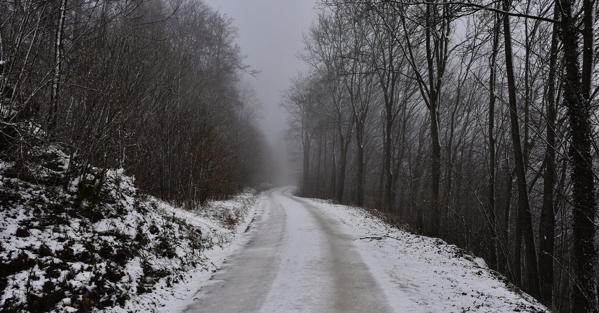 Why are there spikes growing out of my ice tray? - Snow Covered Road Between Bare Trees Why are there spikes growing out of my ice tray? - Snow Covered Road Between Bare Trees