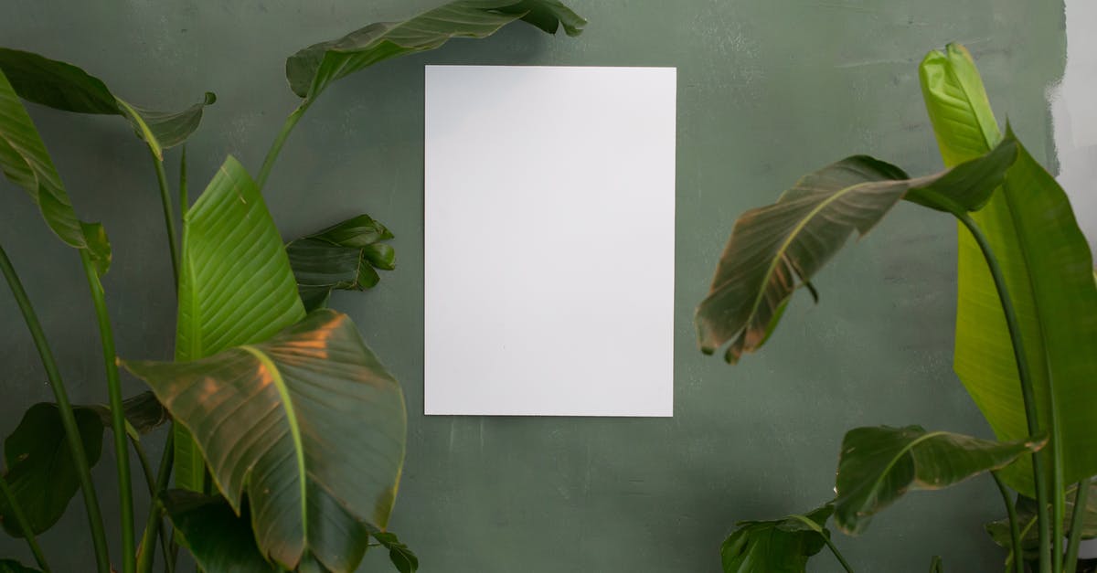 Why can only white fish be already gutted on board the ship? - White board on wall near potted plants in studio
