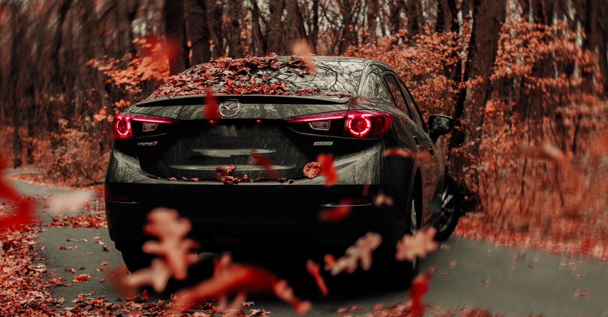 Why do bananas turn black in the refrigerator? - Contemporary black car turning on rural road on autumn day Why do bananas turn black in the refrigerator? - Contemporary black car turning on rural road on autumn day