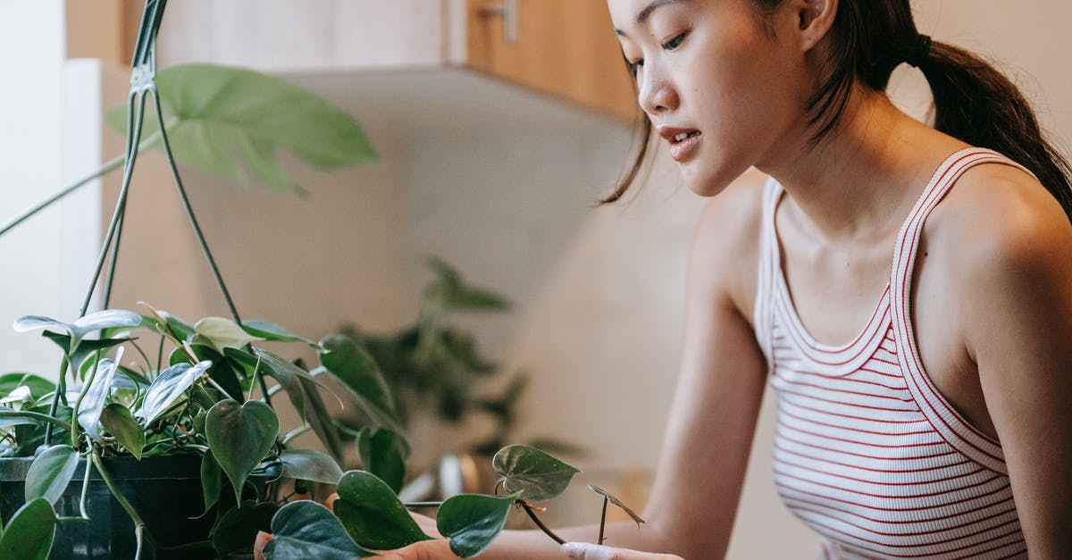 Why do garlic pots have holes? - Woman in White and Blue Stripe Tank Top Holding Green Plant Why do garlic pots have holes? - Woman in White and Blue Stripe Tank Top Holding Green Plant