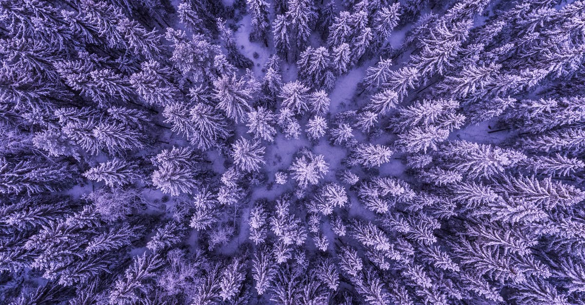 Why do mushrooms freeze in fridge at temps above freezing? - Full Frame Shot of Leaves Why do mushrooms freeze in fridge at temps above freezing? - Full Frame Shot of Leaves