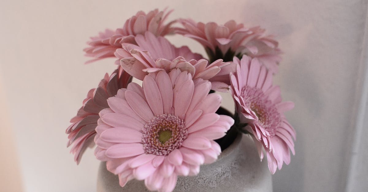 Why do my grains smell like my room? - Bouquet of flowers in vase Why do my grains smell like my room? - Bouquet of flowers in vase