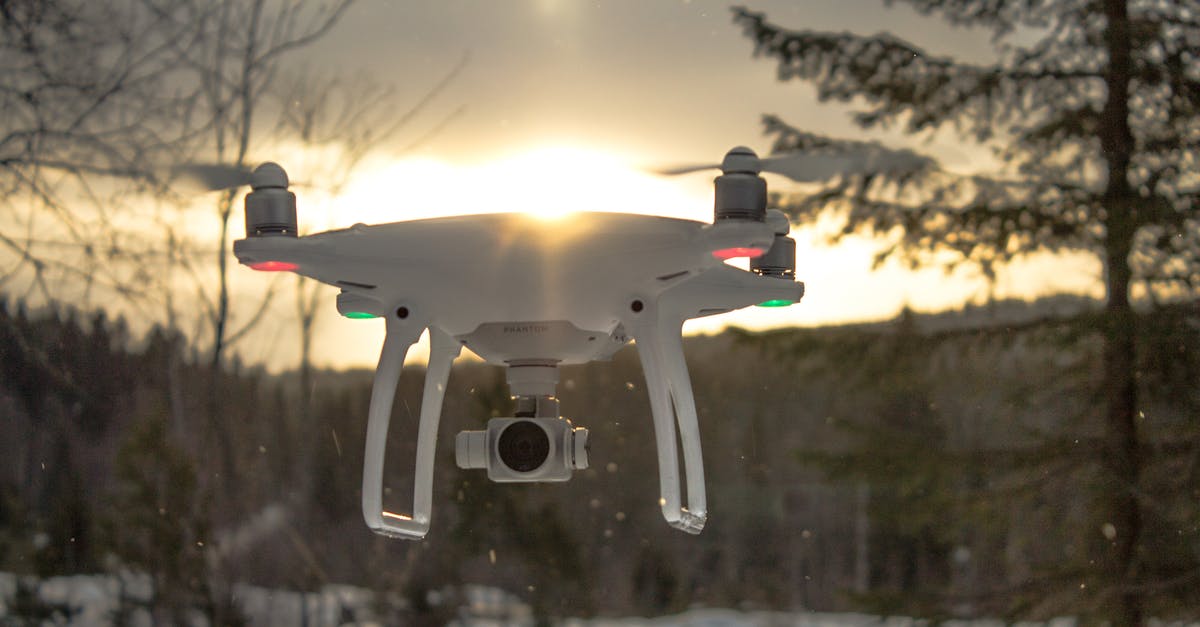 Why do spots appear on iceburg lettuce during cold storage?(0~4℃) - Photo of White Drone Quadcopter Flying Near Trees at Noontime Why do spots appear on iceburg lettuce during cold storage?(0~4℃) - Photo of White Drone Quadcopter Flying Near Trees at Noontime