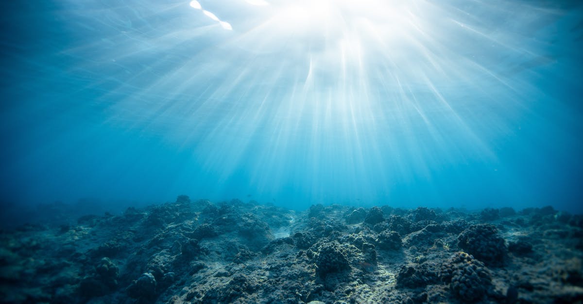 Why does adding sugar/salt causes water to release? - Underwater Photography of Ocean Why does adding sugar/salt causes water to release? - Underwater Photography of Ocean