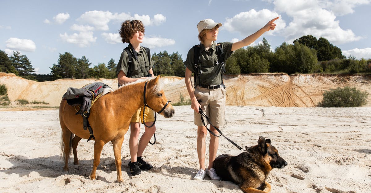 Why does brining lead to firmer salmon? - Scouts with a Mule and a Dog Pointing a Direction Why does brining lead to firmer salmon? - Scouts with a Mule and a Dog Pointing a Direction