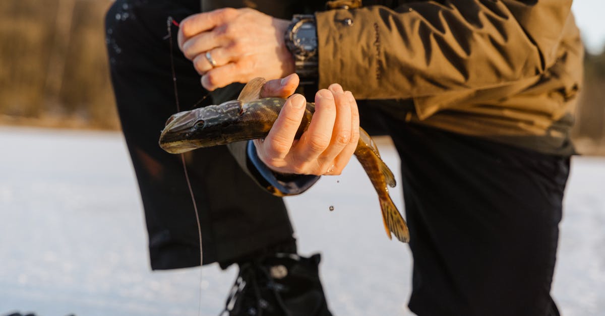 Why does fish broth made with frozen fish lack flavour? - A Man Holding a Fish Why does fish broth made with frozen fish lack flavour? - A Man Holding a Fish
