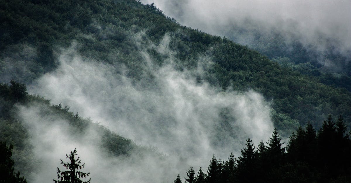 Why does my LN2 evaporate so quickly? - Fog over green forest in mountains Why does my LN2 evaporate so quickly? - Fog over green forest in mountains
