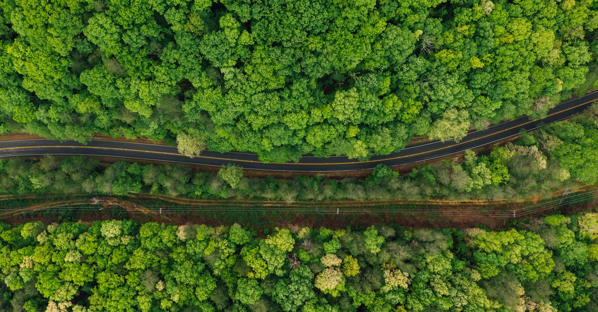 why does my microwave beep half way through a defrost? - Narrow asphalt roadway amidst lush forest why does my microwave beep half way through a defrost? - Narrow asphalt roadway amidst lush forest