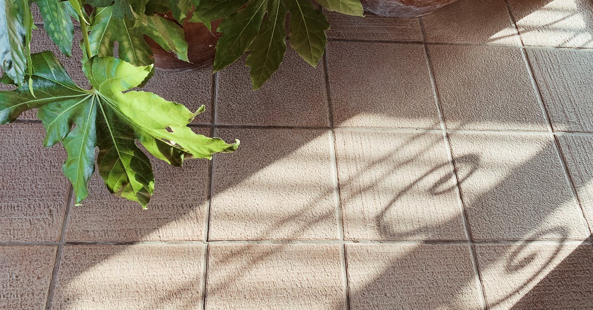 Why does my Wonder Pot now bake unevenly? - Tiled floor with potted plant and shadow Why does my Wonder Pot now bake unevenly? - Tiled floor with potted plant and shadow