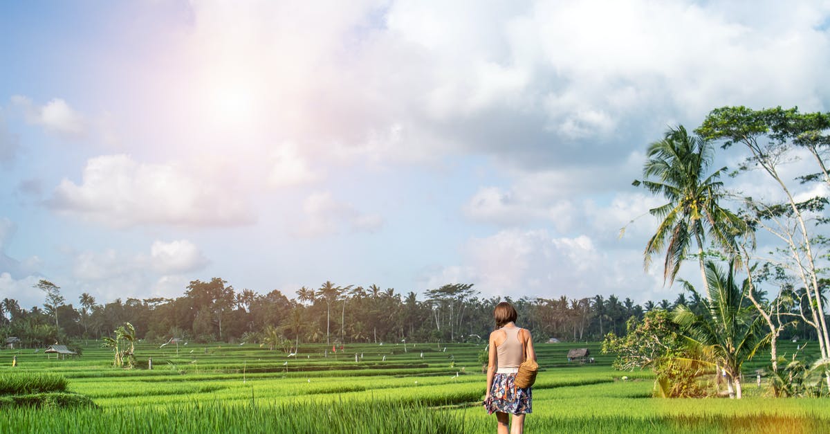 Why does rice go bad next day? - Woman Standing on Green Grass Field Why does rice go bad next day? - Woman Standing on Green Grass Field