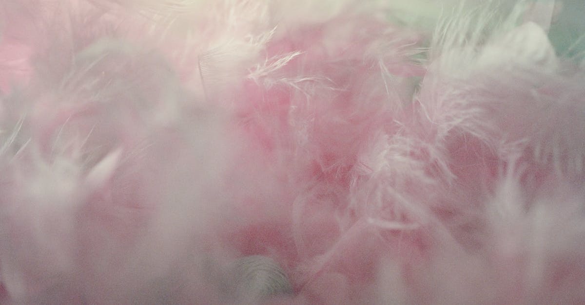 Why does steamed potatoes sometimes have a smooth, banana-like texture? - Pink Feathers in Close-up Photography Why does steamed potatoes sometimes have a smooth, banana-like texture? - Pink Feathers in Close-up Photography