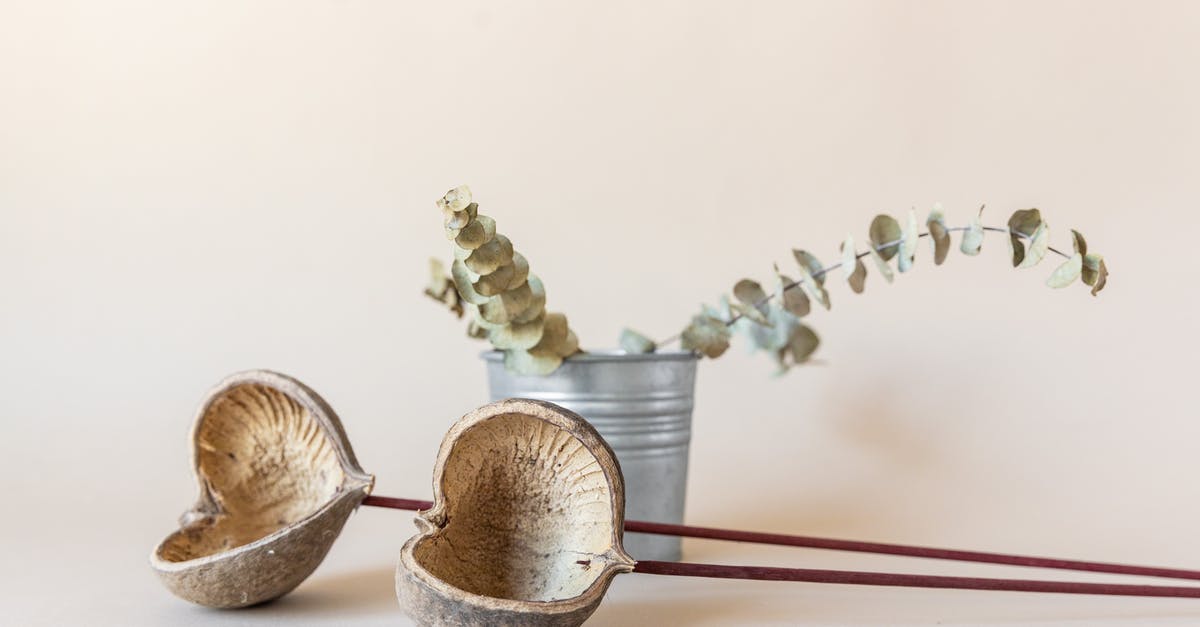 Why does the shrimp stick to the shells? - Eucalyptus Branch in a Bucket Why does the shrimp stick to the shells? - Eucalyptus Branch in a Bucket