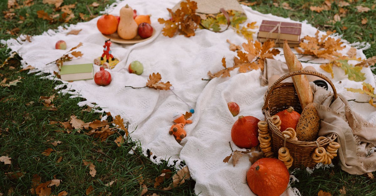 Why don't dry bread crumbs spoil, when bread does? - From above of ripe exotic red kuri squashes with pumpkins and wicker basket with fresh bread arranged on blanket with books and scattered dry leaves in autumn park Why don't dry bread crumbs spoil, when bread does? - From above of ripe exotic red kuri squashes with pumpkins and wicker basket with fresh bread arranged on blanket with books and scattered dry leaves in autumn park