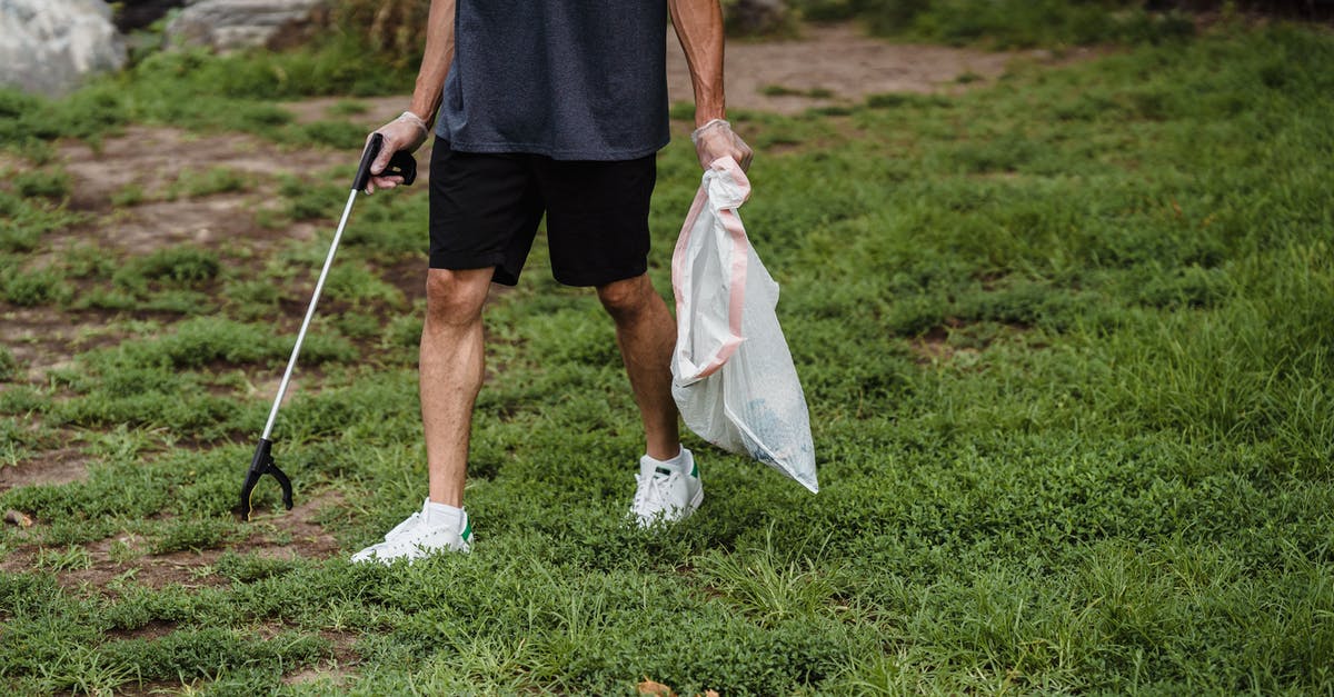 Why don't the Rhodes cinnamon rolls from a bag turn out as good as the ones in the foil pan? - Free stock photo of bag, day, ecology Why don't the Rhodes cinnamon rolls from a bag turn out as good as the ones in the foil pan? - Free stock photo of bag, day, ecology