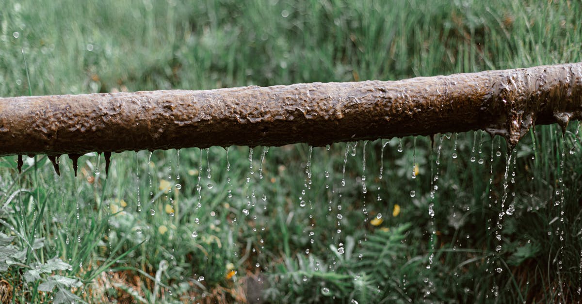 Why drain soaked rice? - Rusted metal leaking pipe above grassy meadow Why drain soaked rice? - Rusted metal leaking pipe above grassy meadow
