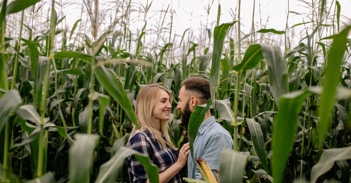 Why is corn nixtamalized? - 2 Women Sitting on Corn Field Why is corn nixtamalized? - 2 Women Sitting on Corn Field