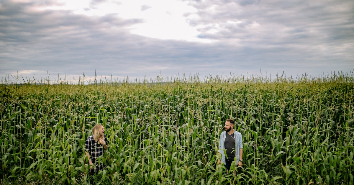 Why is corn nixtamalized? - Woman in White Long Sleeve Shirt Standing on Green Grass Field Why is corn nixtamalized? - Woman in White Long Sleeve Shirt Standing on Green Grass Field