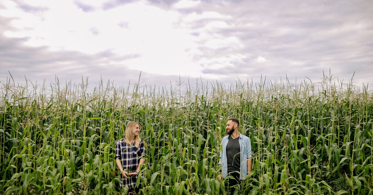 Why is corn nixtamalized? - Woman in White Long Sleeve Shirt Standing on Green Grass Field Why is corn nixtamalized? - Woman in White Long Sleeve Shirt Standing on Green Grass Field