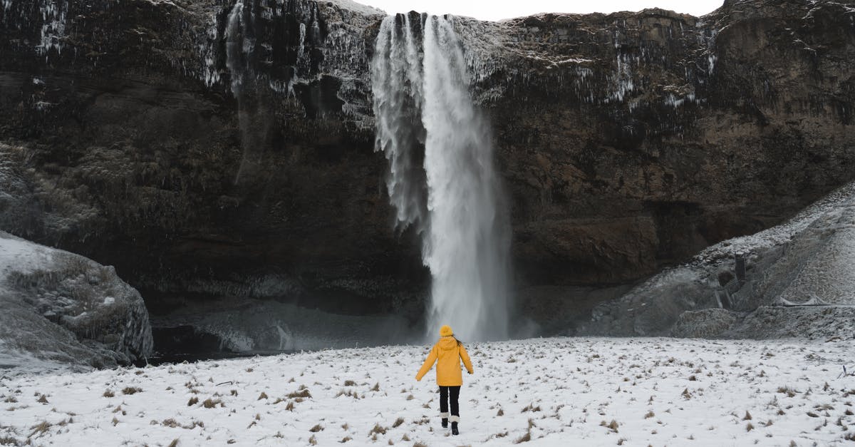 Why is my Aji Gallina not yellow? - Person in Red Jacket Standing on White Snow Covered Ground Near Waterfalls Why is my Aji Gallina not yellow? - Person in Red Jacket Standing on White Snow Covered Ground Near Waterfalls