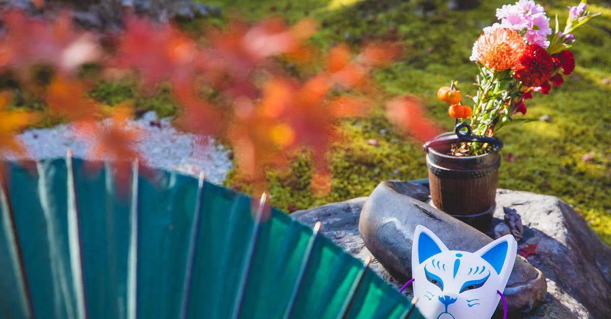 Why is rock sugar used in Chinese cooking? - Japanese umbrella near lawn and boulder with kitsune mask Why is rock sugar used in Chinese cooking? - Japanese umbrella near lawn and boulder with kitsune mask