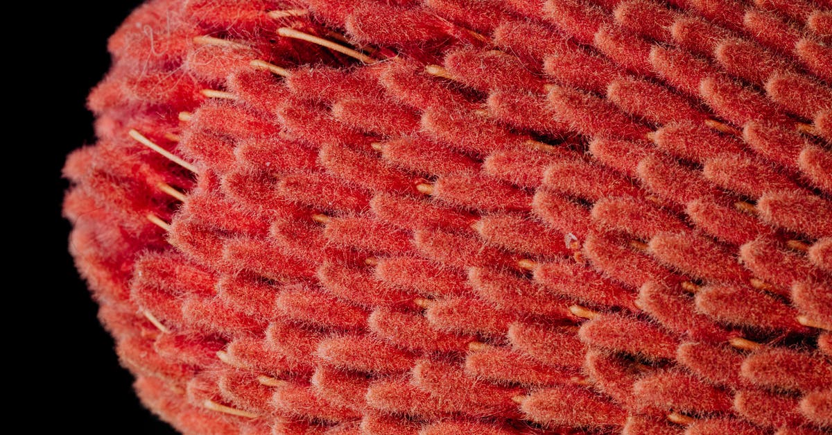 Why is salt sprinkled on top of soft pretzels? - From above of top part of exotic tropical banksia flower with unusual narrow fluffy red petals Why is salt sprinkled on top of soft pretzels? - From above of top part of exotic tropical banksia flower with unusual narrow fluffy red petals