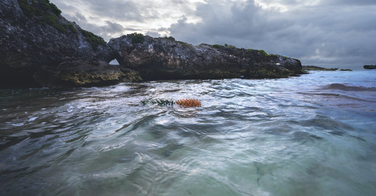 why might the pineapple on the bottom of the pineapple-upside-down-cake float into the batter? - Rocky Cliff Near Calm Sea Under Gray Cloudy Sky
