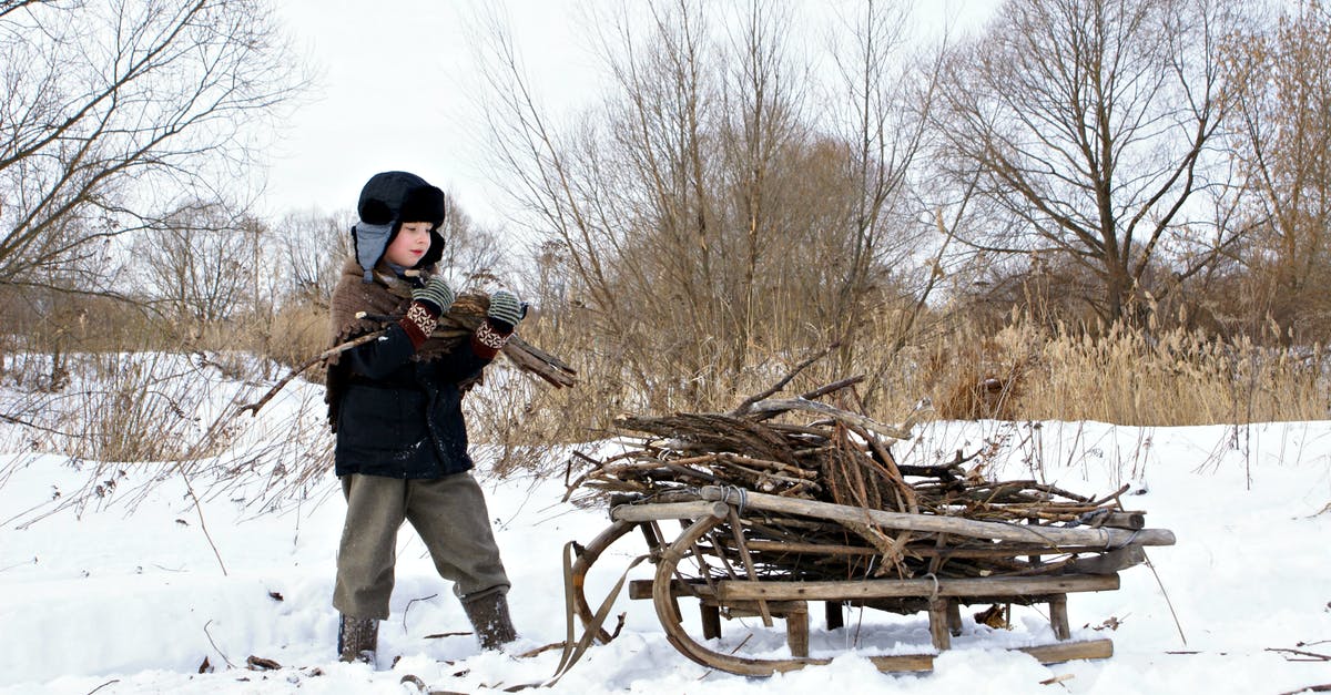 Why wooden sticks for ice cream bars? - Kid Holding Brown Log Why wooden sticks for ice cream bars? - Kid Holding Brown Log
