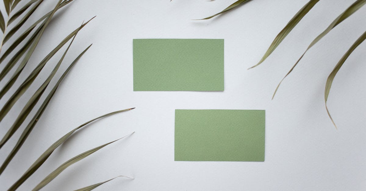 Why would pumpkin pie form a clear custard layer? - Top view of green mock up business cards placed on white background near plant with lush leaves in modern studio Why would pumpkin pie form a clear custard layer? - Top view of green mock up business cards placed on white background near plant with lush leaves in modern studio