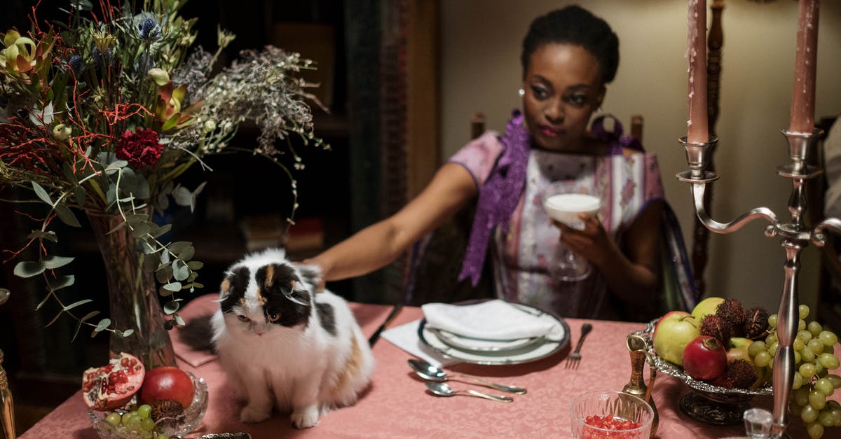 Why/when would grapes (and other fruits) have better flavor/texture when served chilled? [closed] - Woman Petting Her Cat on the Table