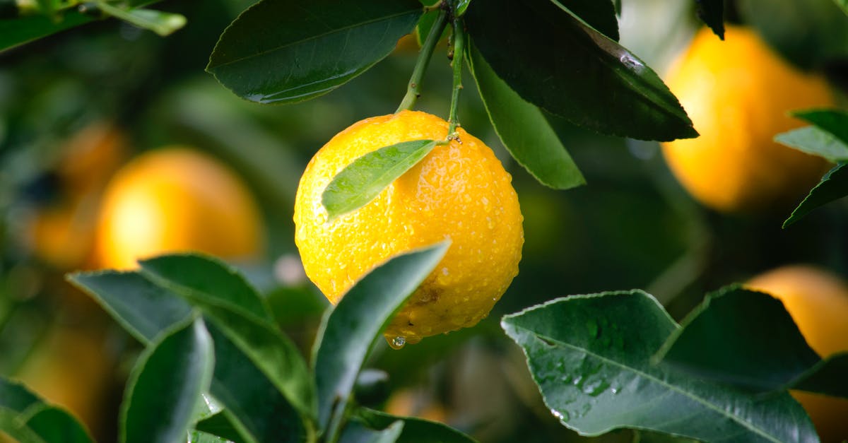 Will adding lemon juice to non-wheat pastas make them starchier? - Shallow Focus Photography of Yellow Lime With Green Leaves Will adding lemon juice to non-wheat pastas make them starchier? - Shallow Focus Photography of Yellow Lime With Green Leaves