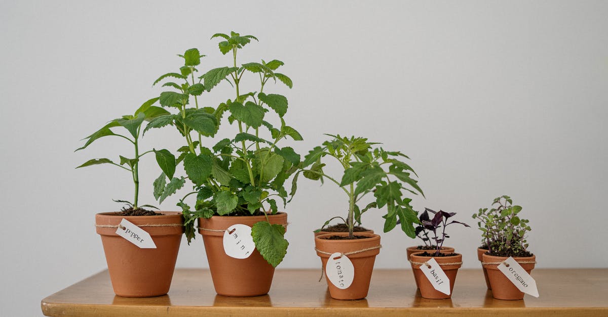 Will botulism growing in my home-canned vegetables pop the lid? - Photo of Potted Plants on Wooden Table Will botulism growing in my home-canned vegetables pop the lid? - Photo of Potted Plants on Wooden Table