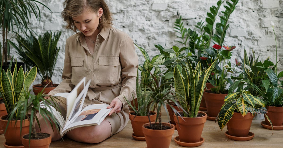 Will botulism growing in my home-canned vegetables pop the lid? - Woman in Brown Long Sleeve Shirt Reading Book While Sitting Near Plants Will botulism growing in my home-canned vegetables pop the lid? - Woman in Brown Long Sleeve Shirt Reading Book While Sitting Near Plants
