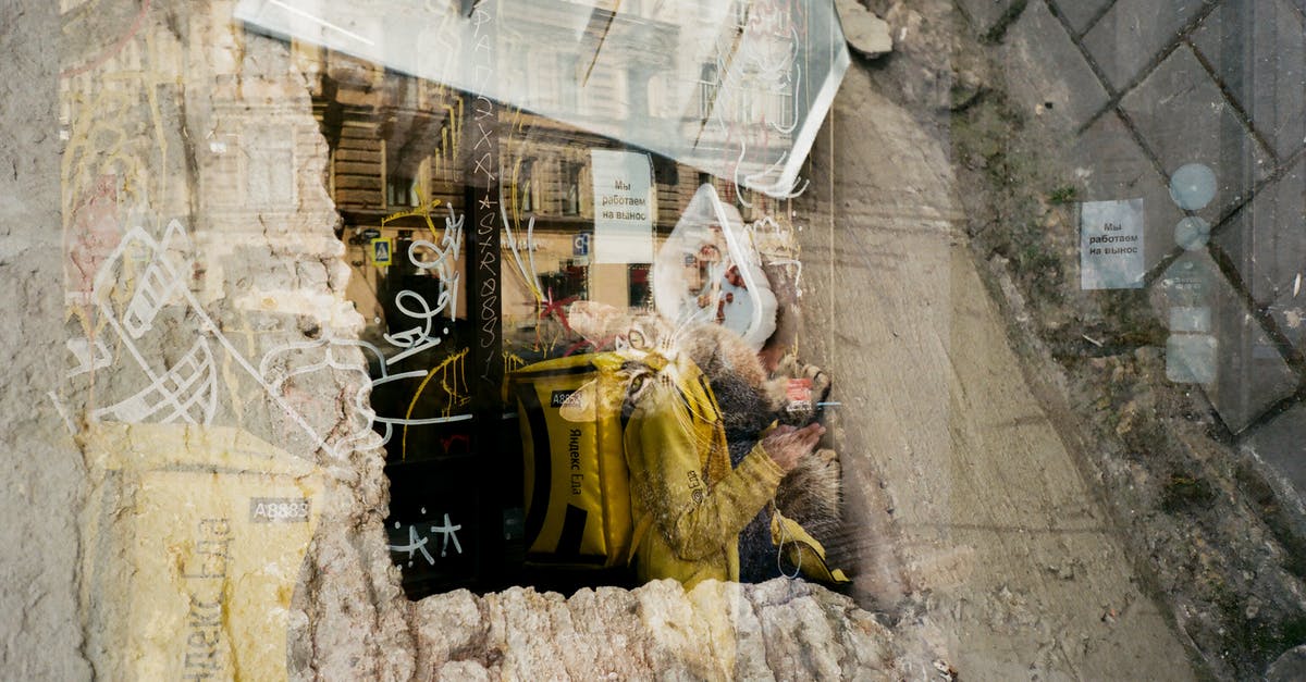 Will old corn meal ruin muffins? - Through glass of stray cat in front of food bowl on windowsill of old shabby abandoned building Will old corn meal ruin muffins? - Through glass of stray cat in front of food bowl on windowsill of old shabby abandoned building