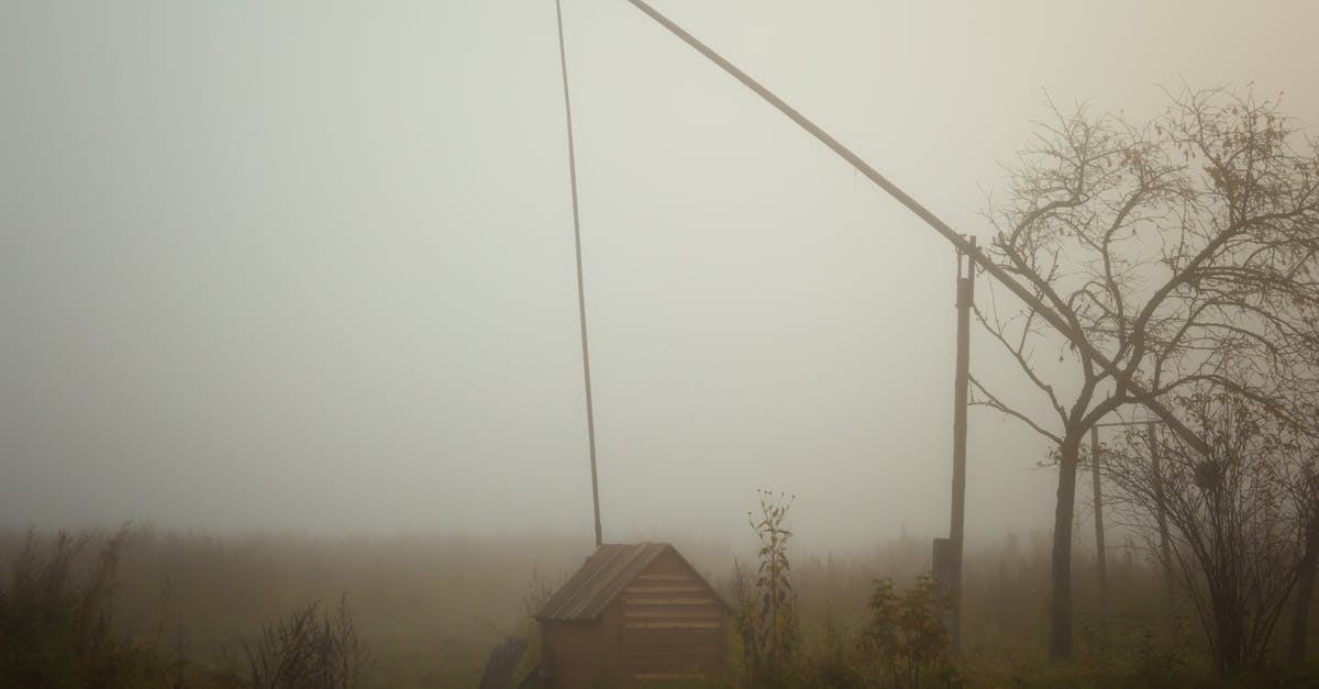 Will soymilk keep well in the freezer? - Brown Wooden House Near Bare Trees Under White Sky Will soymilk keep well in the freezer? - Brown Wooden House Near Bare Trees Under White Sky
