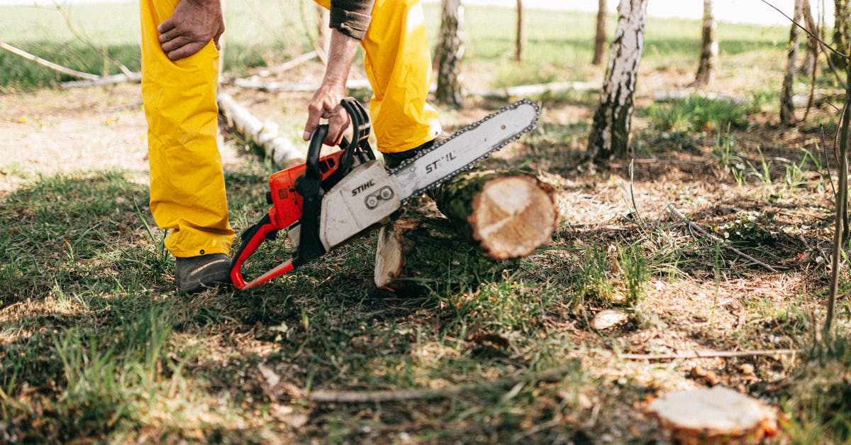 Will steel cut oats work for oatmeal cookies? - Crop lumberman sawing log with electric power saw Will steel cut oats work for oatmeal cookies? - Crop lumberman sawing log with electric power saw